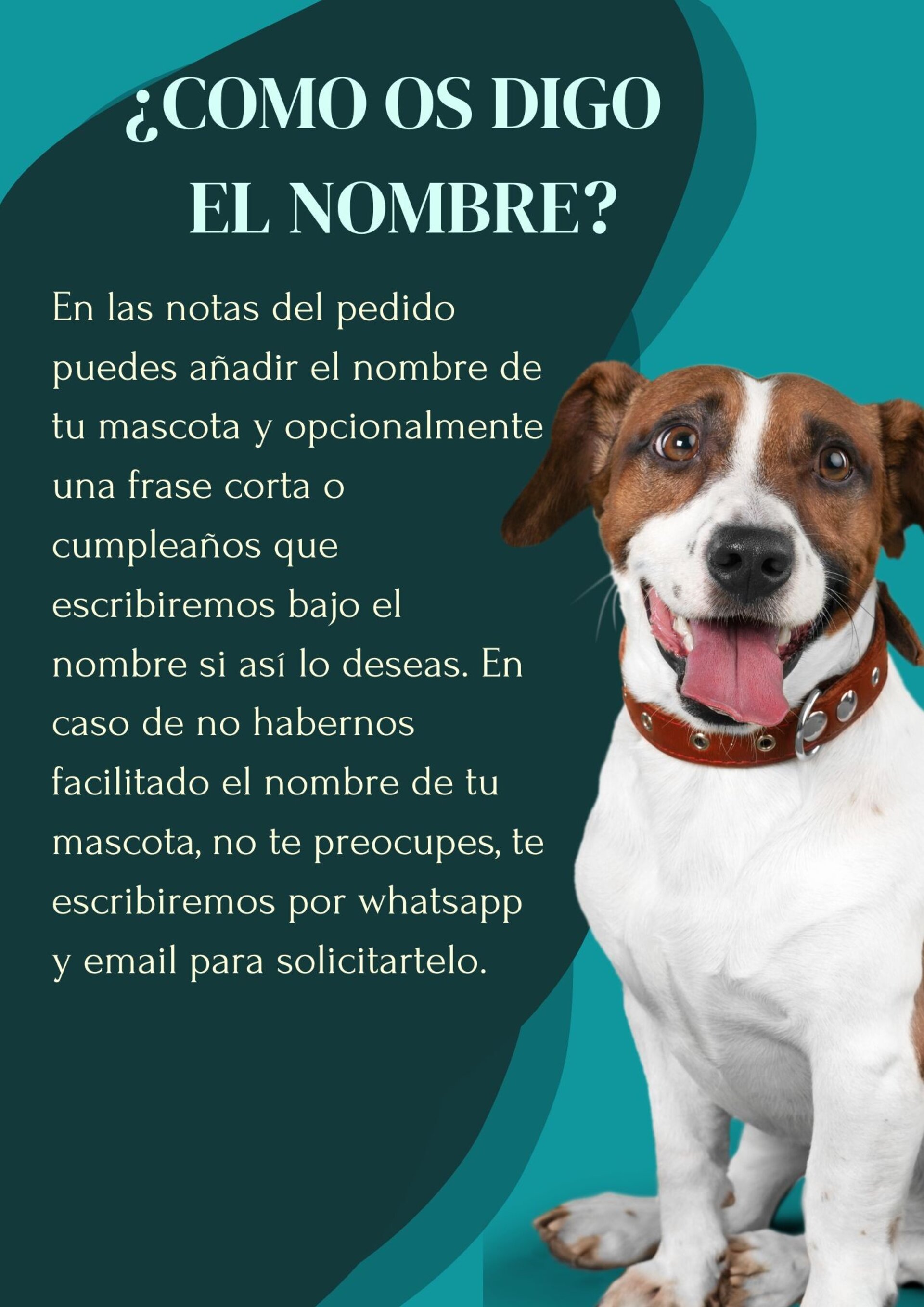 Comedero Max - 3